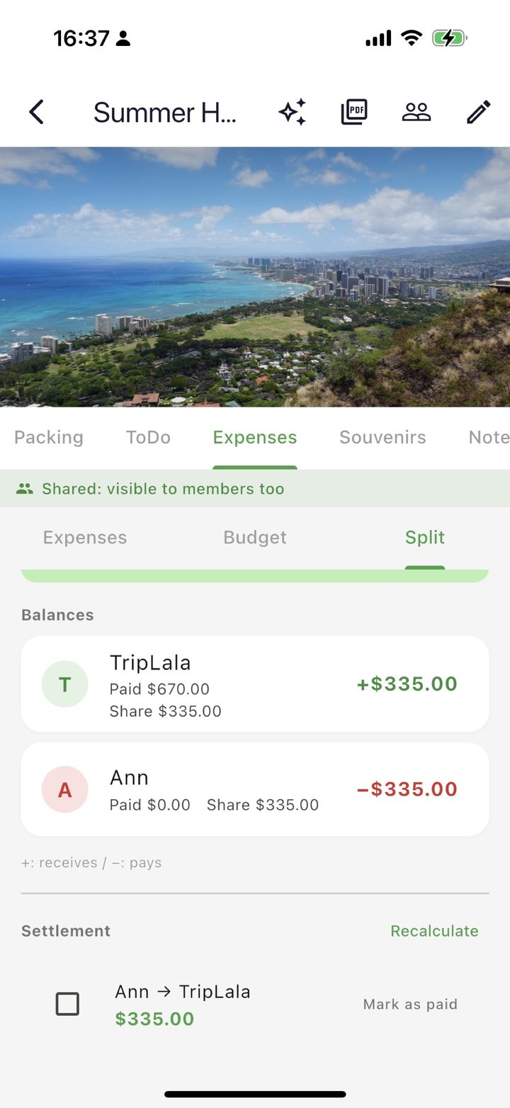 Split tab showing balances and who owes whom